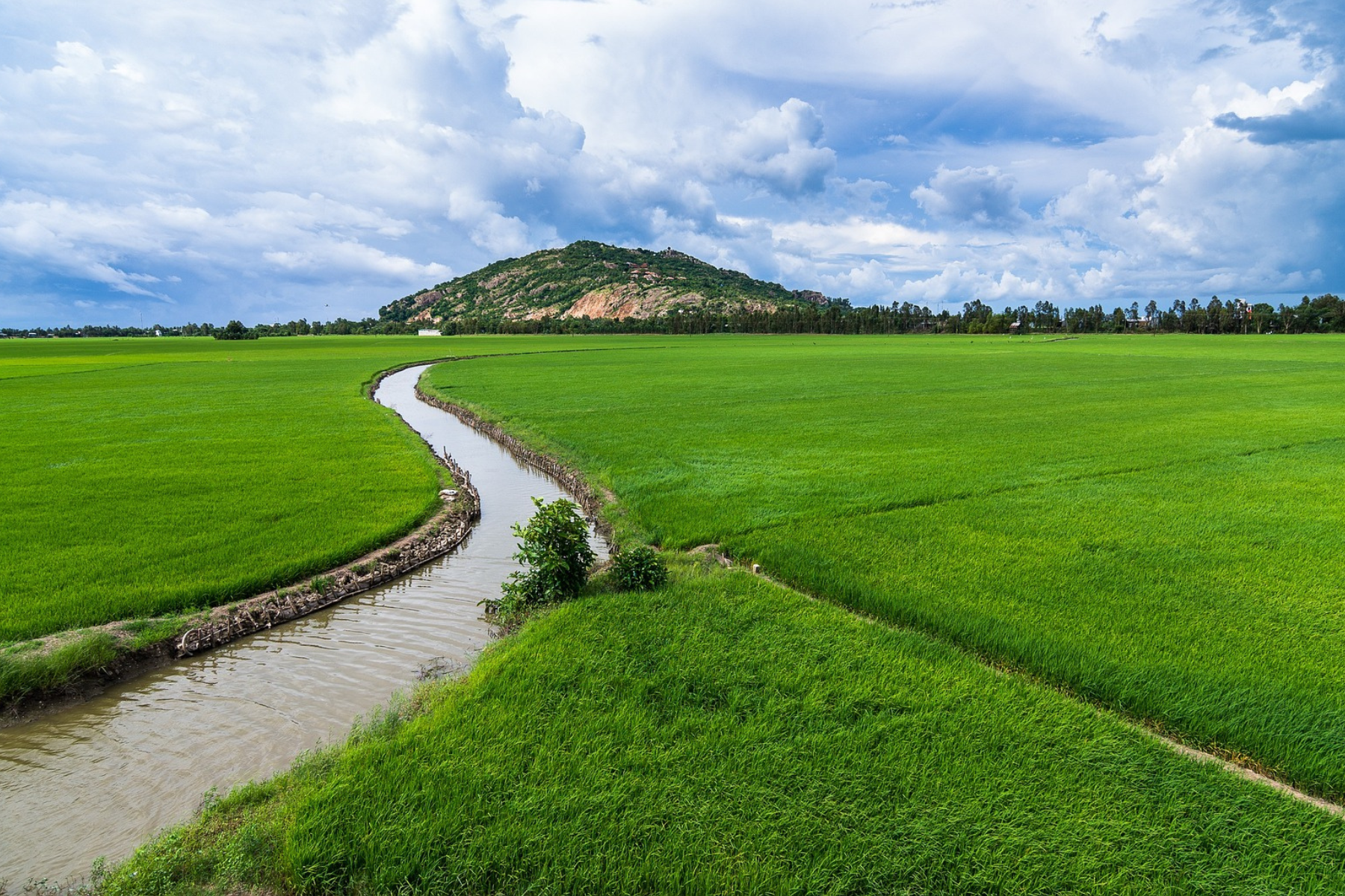 Campo agrícola con canal de agua para riego.