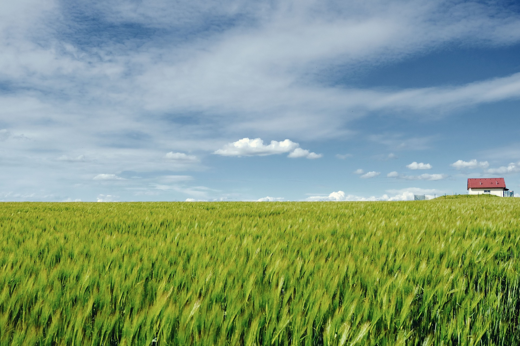 Campo verde con una casa al fondo, representando el compromiso del SENASICA con la ética y la calidad agroalimentaria.