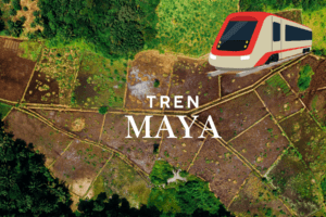 Terrenos expropiados para la construcción del Tren Maya, con un ícono de tren moderno y un letrero que dice «Tren Maya».