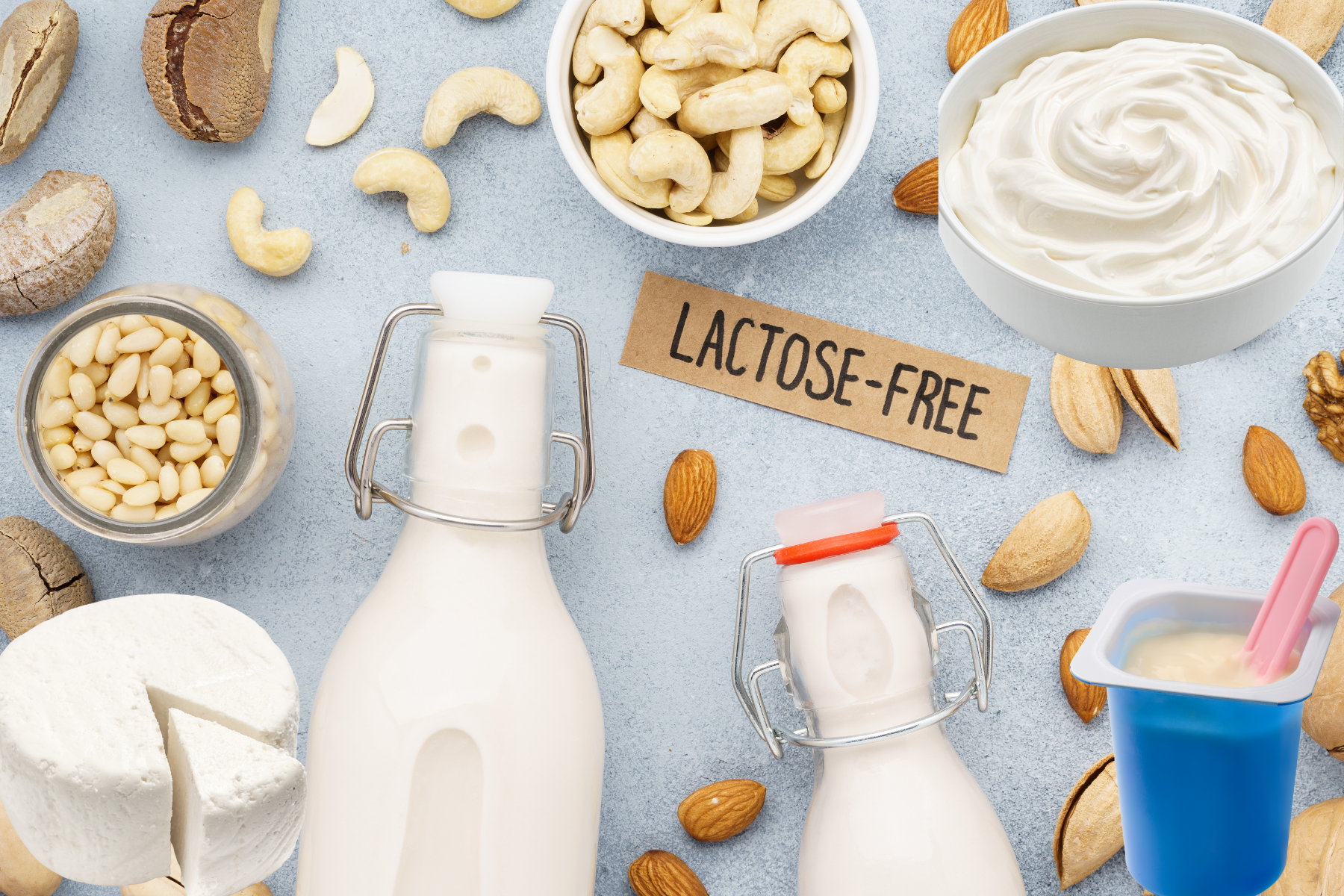 Envases de leche vegetal, tarros de yogur sin lactosa y bloques de queso vegano dispuestos en una cocina
